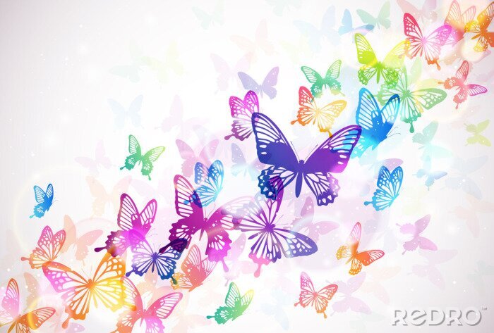 Papier peint  Papillons colorés sur fond blanc