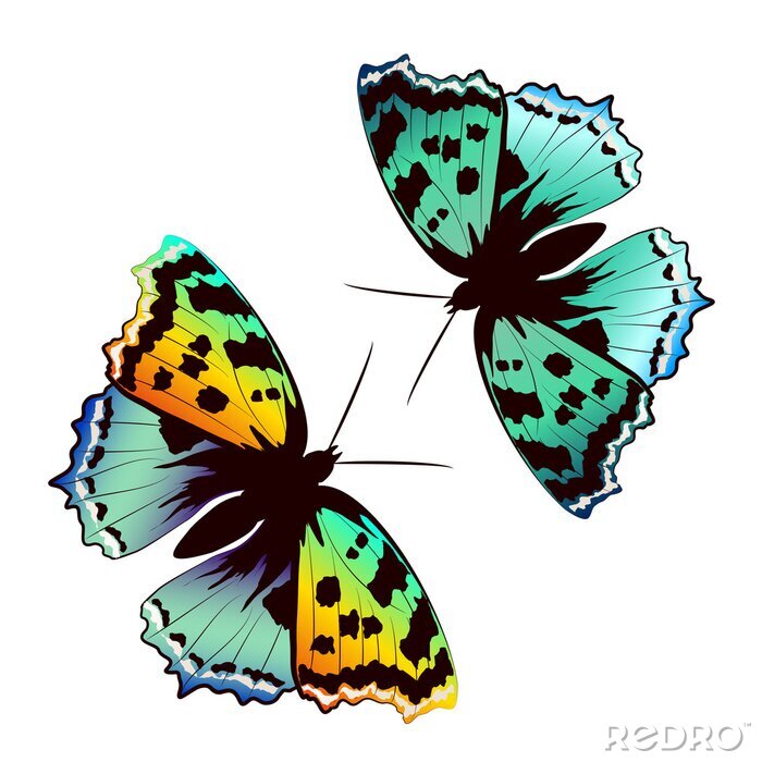 Papier peint  Papillons colorés sur fond clair (le motif se répète)