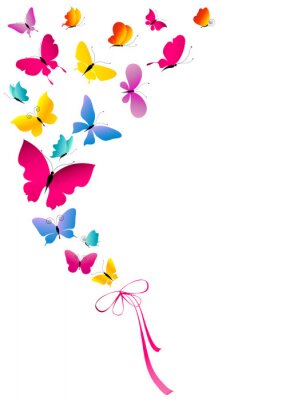 Papier peint  Papillons de couleur et ruban
