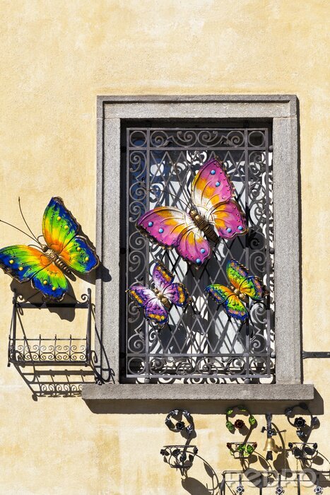 Papier peint  Papillons devant une fenêtre