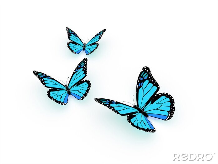 Papier peint  Papillons exotiques sur fond clair