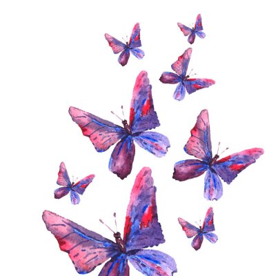 Papier peint  Papillons grands et petits aquarelle