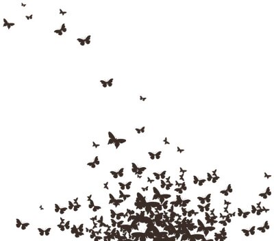 Papier peint  Papillons monochromes en mouvement