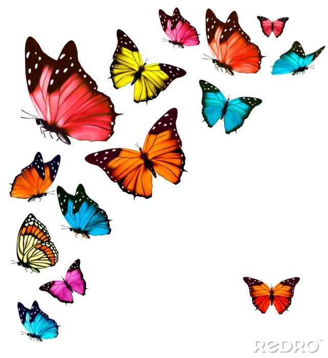 Papier peint  Papillons multicolores sur fond clair