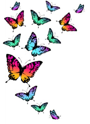 Papier peint  Papillons néon