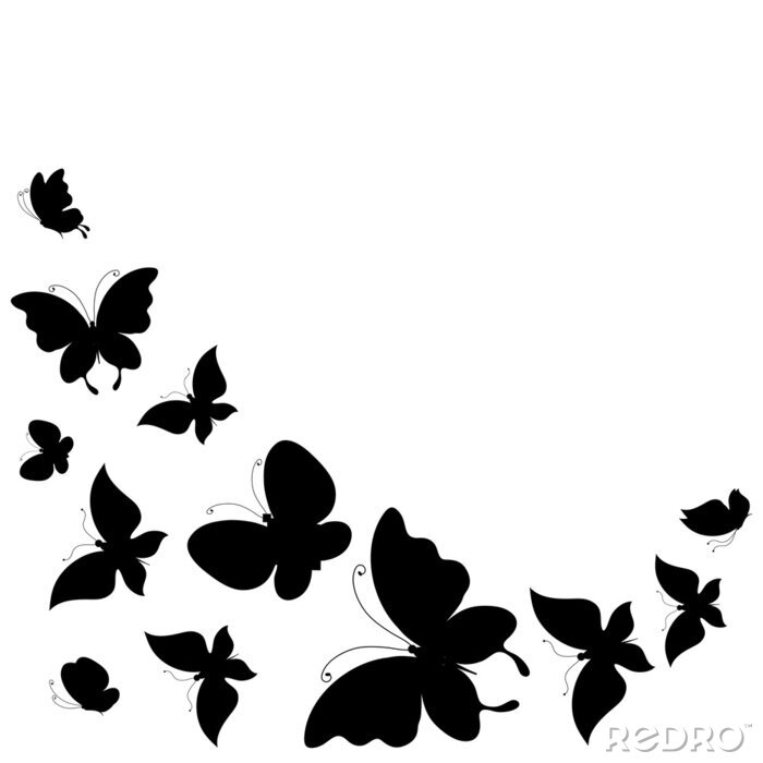 Papier peint  Papillons noir et blanc