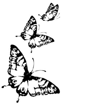 Papier peint  Papillons noirs sur fond blanc