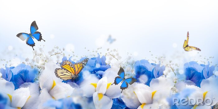 Papier peint  Papillons planant au-dessus des fleurs