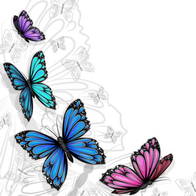 Papier peint  Papillons sur fond de formes grises