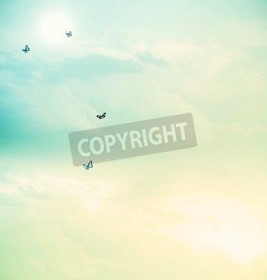 Papier peint  Papillons sur un ciel pastel