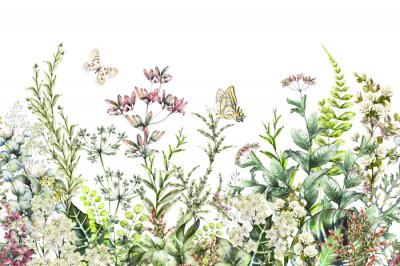 Papier peint  Papillons volant au-dessus de plantes des champs