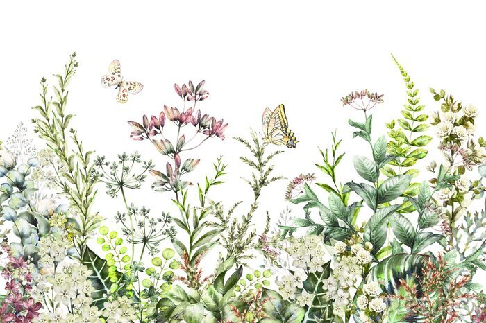 Papier peint  Papillons volant au-dessus de plantes des champs