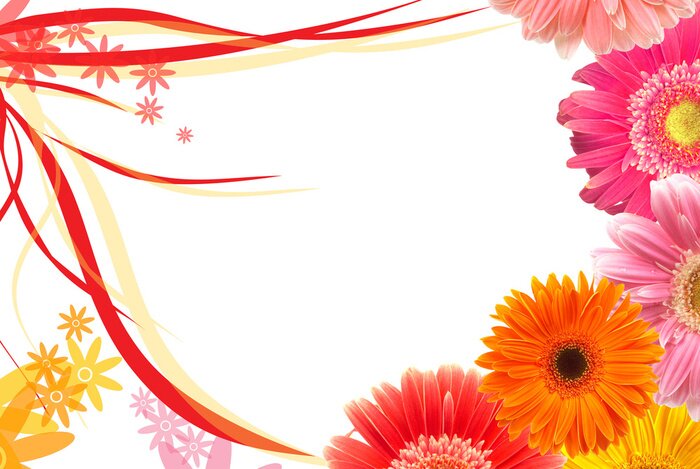 Papier peint  Pâquerettes colorées et gerberas