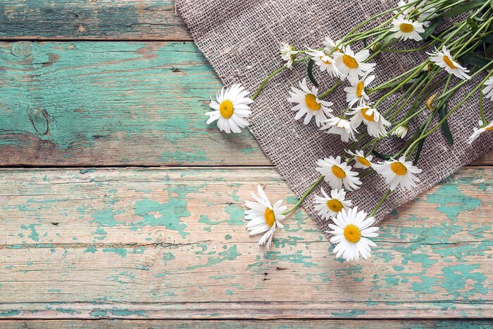 Papier peint  Pâquerettes sur le bois