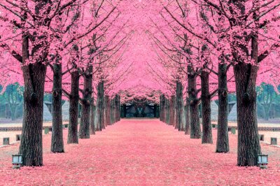 Papier peint  Parc coréen rose