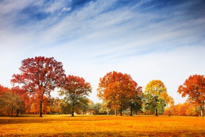 Parc d'automne par une journée ensoleillée