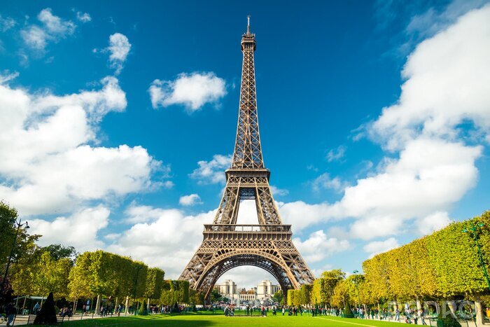 Papier peint  Parc devant la Tour Eiffel à Paris