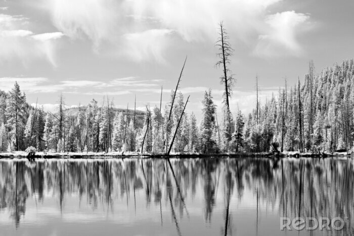 Papier peint  Parc national de Yellowstone abattu dans l'infrarouge native