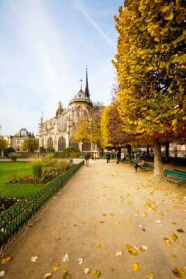 Papier peint  Parc parisien en automne