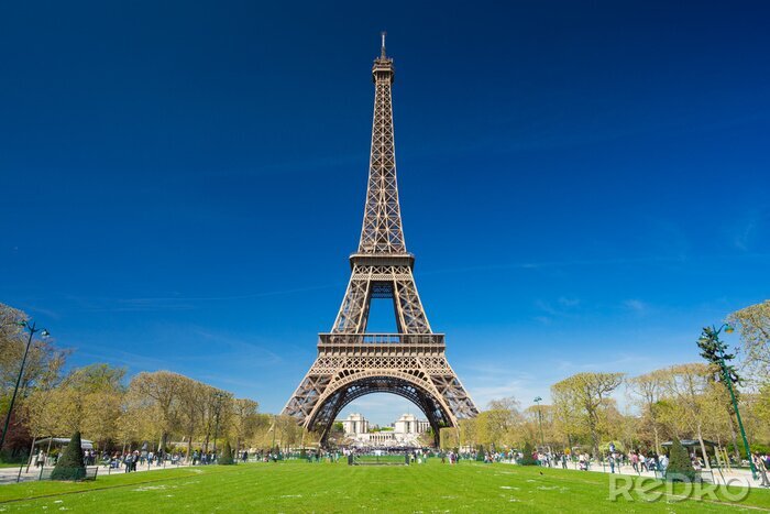 Papier peint  Paris au printemps et la Tour Eiffel