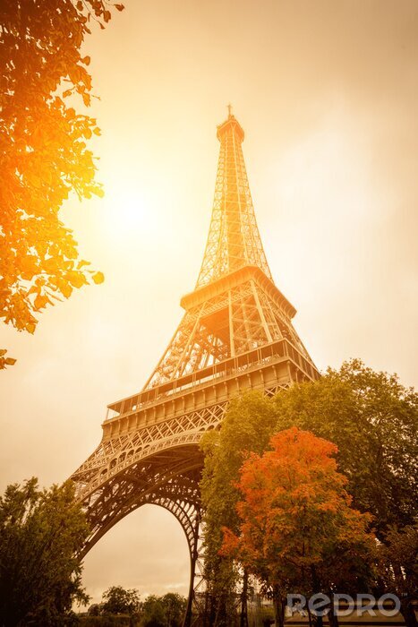 Papier peint  Paris l'automne
