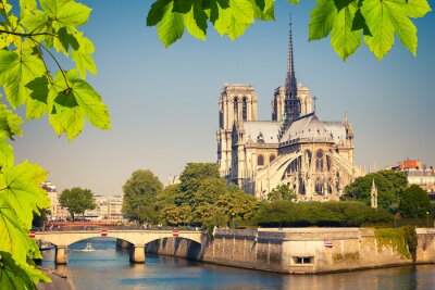 Papier peint  Paris la nature et la cathédrale Notre-Dame