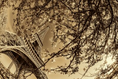 Papier peint  Paris la Tour Eiffel en sépia