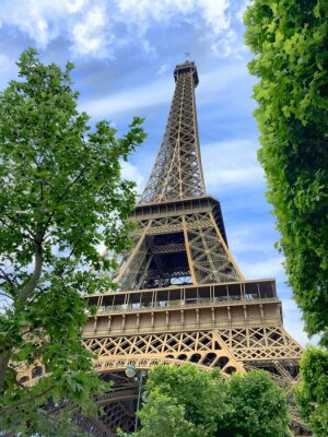 Papier peint  Paris la Tour Eiffel et la nature