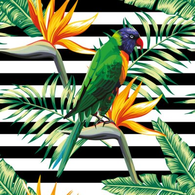 Papier peint  parrots exotic floral seamless background