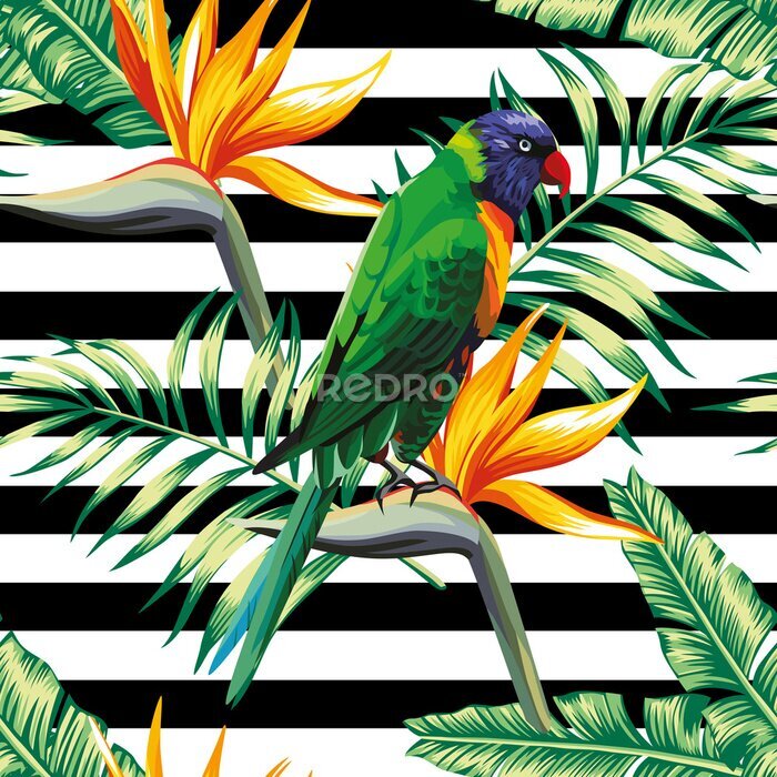 Papier peint  parrots exotic floral seamless background