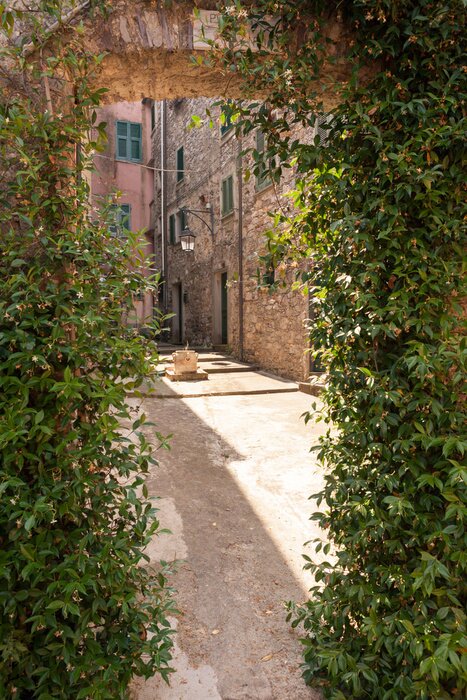 Papier peint  Passage couvert de lierre