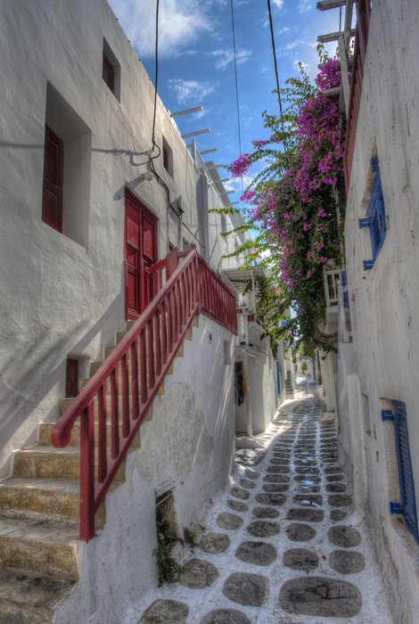 Papier peint  Passage de belles fleurs