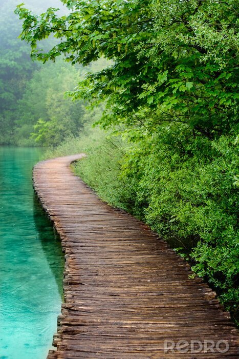 Papier peint  Passerelle de planches bord d'étang