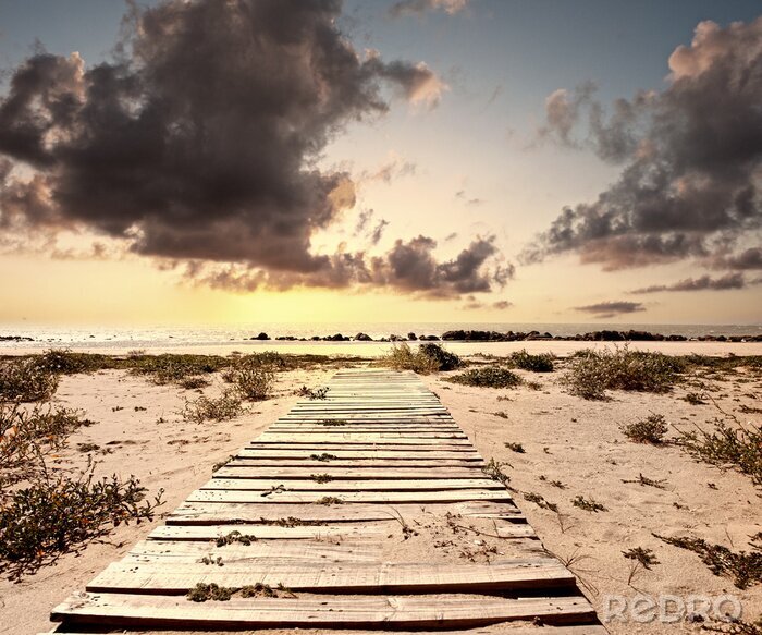 Papier peint  Passerelle dunes de sable
