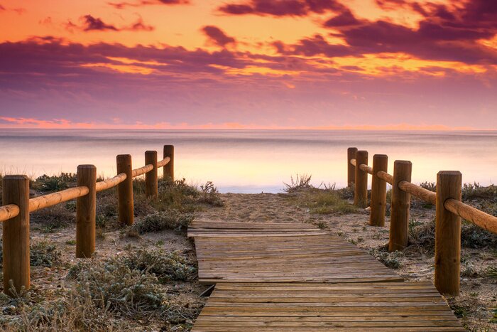 Papier peint  Passerelle dunes et mer