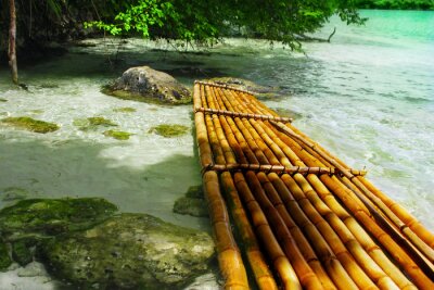 Papier peint  Passerelle en bambou dans les tropiques