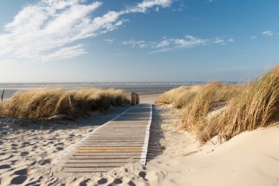 Papier peint  Passerelle en bois vers la plage