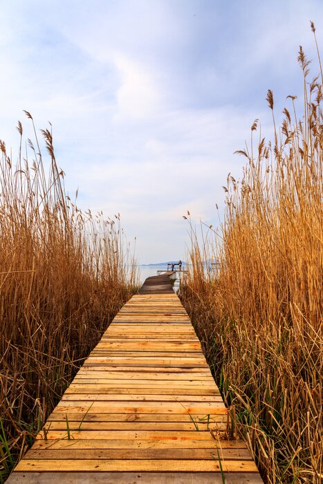 Papier peint  Passerelle environnement dunes
