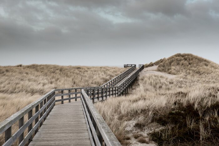 Papier peint  Passerelle et dunes