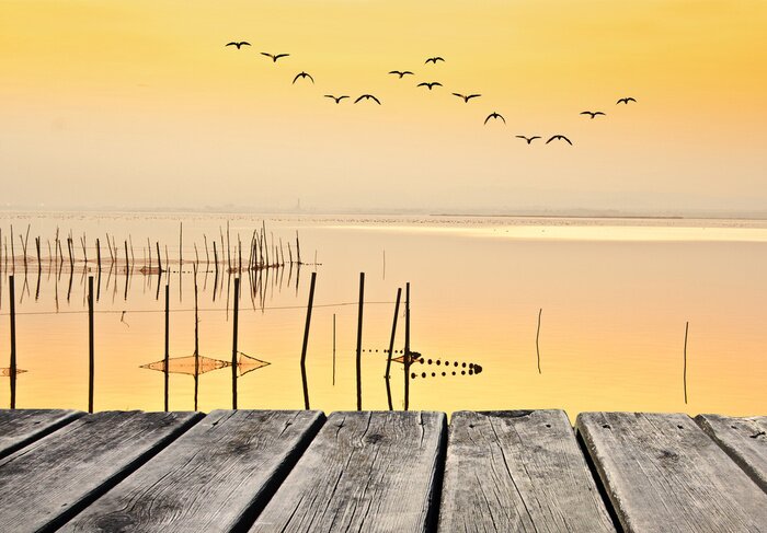 Papier peint  Passerelle et mouettes