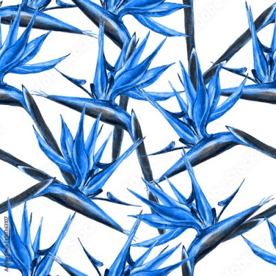 Papier peint  Patron de fleurs sans vis à vis des paradis. Aquarelle peinte à la main des fleurs exotiques de strelitzia, teintes de tendance bleue sur fond blanc. Conception textile.