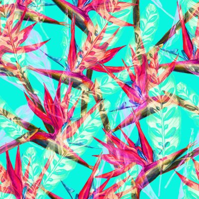 Papier peint  Patron de l'oiseau du paradis sans couture. Les fleurs exotiques d'aquarelle peinte à la main de strelitzia et de feuilles de calahea sur le fond bleu des Caraïbes. Conception textile.