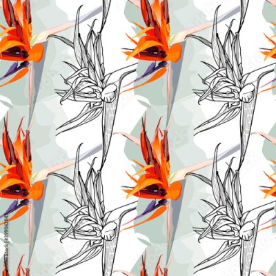 Papier peint  Pattern of hand drawn flower Strelitzia (bird-of-paradise): graphic colour illustration, botanical sketch for postcard, posters, notebooks...	