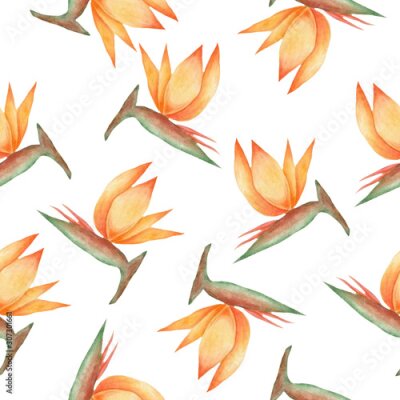 Papier peint  Pattern of Strelitzia