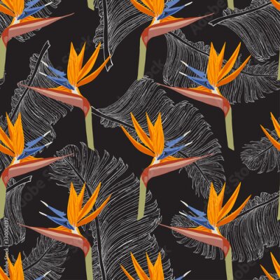 Papier peint  Pattern with Strelitzia flowers banana leaves