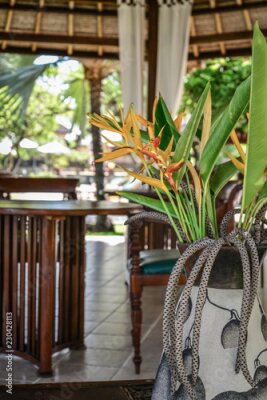 Papier peint  Pavillon avec de belles fleurs de Strelitzia