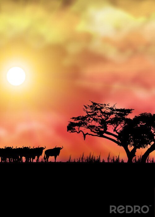 Papier peint  Paysage africain avec savane