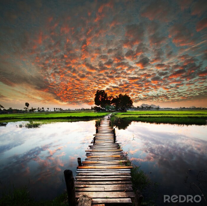Papier peint  Paysage au fil de l'eau