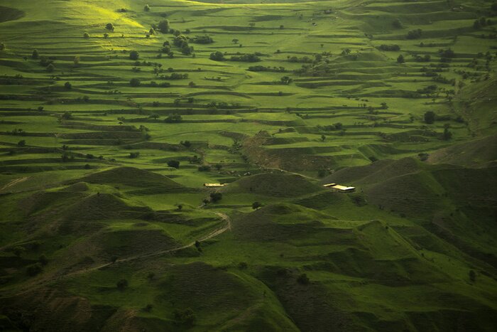 Papier peint  Paysage avec des champs verts