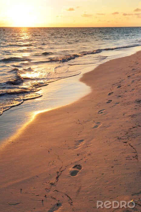 Papier peint  Paysage avec empreintes de pas sur la plage